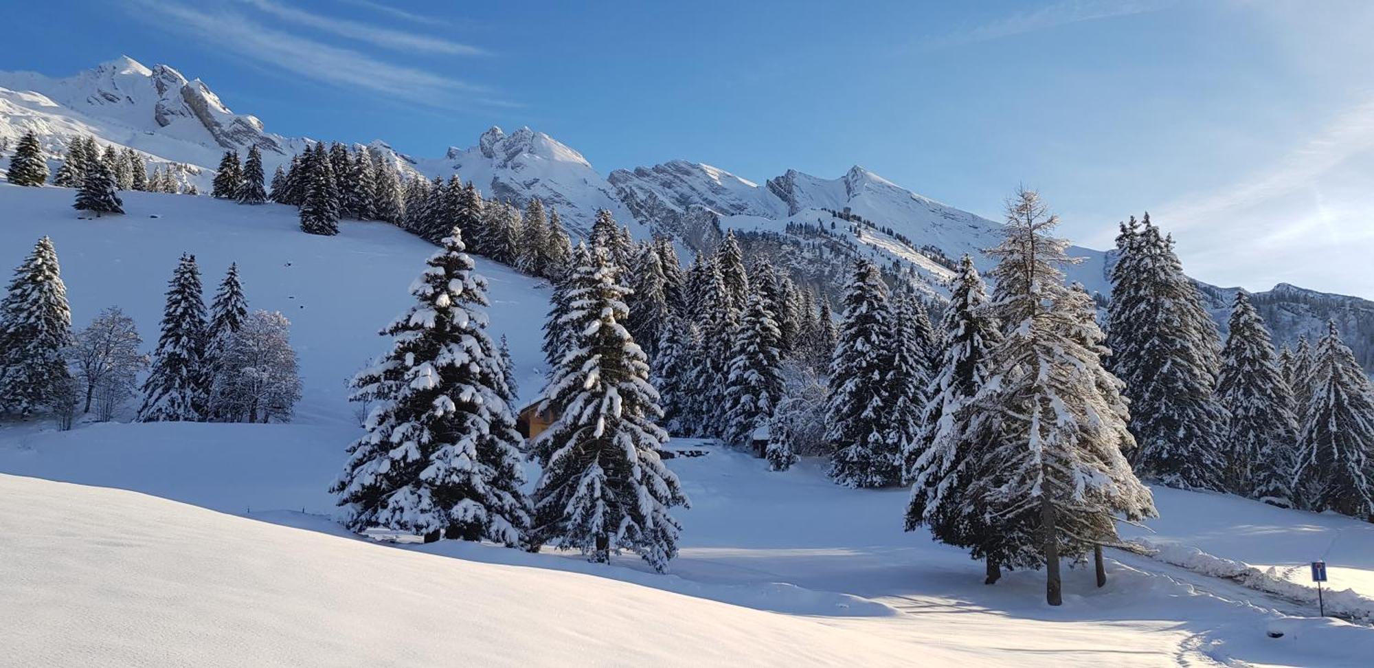 Appartement Cosy Face Aux Aravis Le Grand-Bornand Kültér fotó