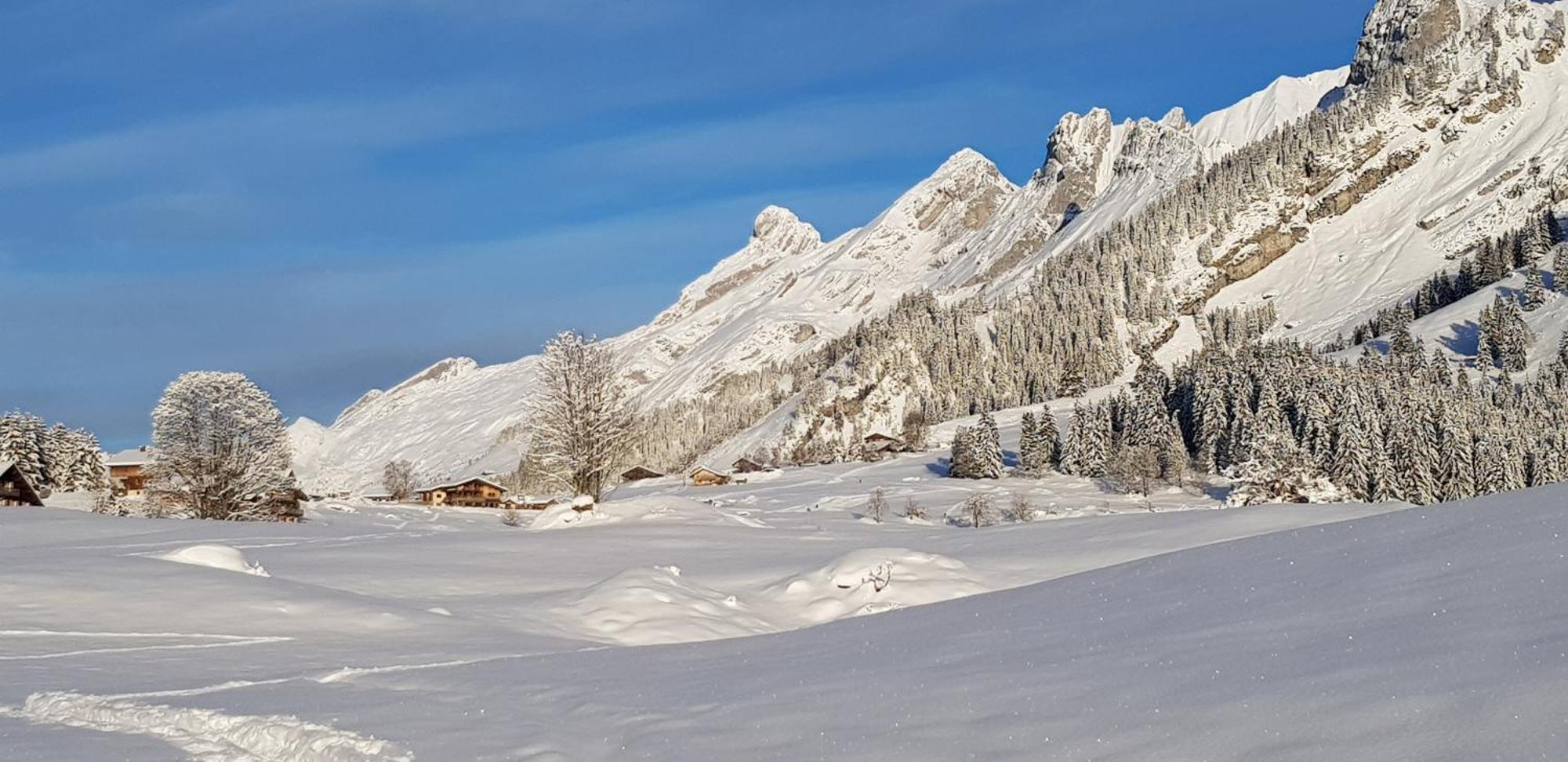 Appartement Cosy Face Aux Aravis Le Grand-Bornand Kültér fotó