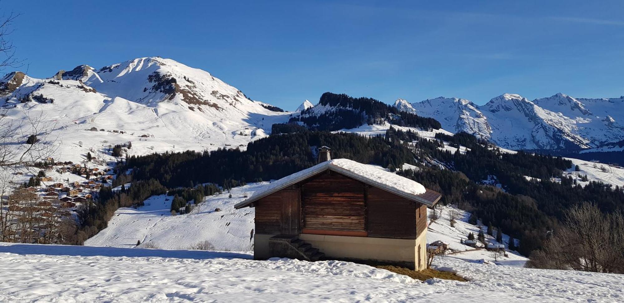 Appartement Cosy Face Aux Aravis Le Grand-Bornand Kültér fotó
